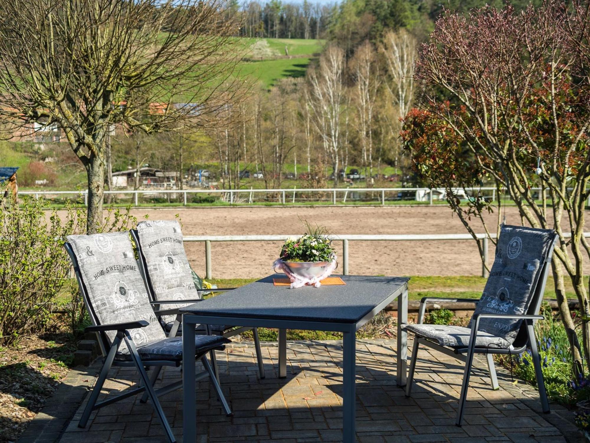 Apartment In The Odenwald With Terrace Mossautal Exterior photo